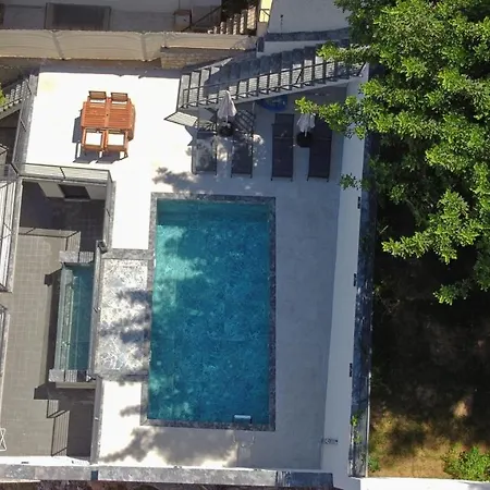 Citrus * Fethiye